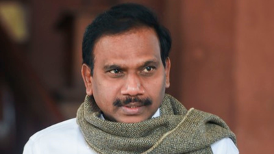 dmk-leader-a-raja-imagepti.jpg