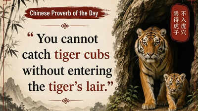 1779853349_chinese-proverb-of-the-day.jpg