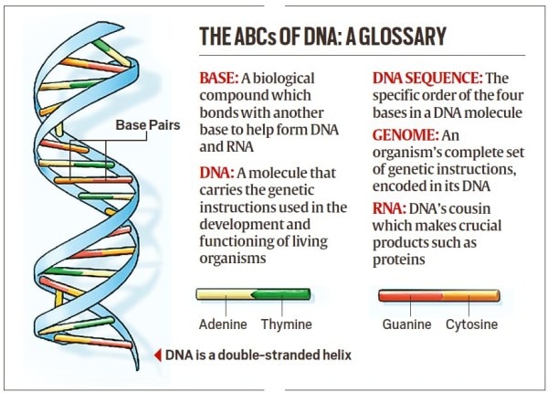 gene-editing.jpg