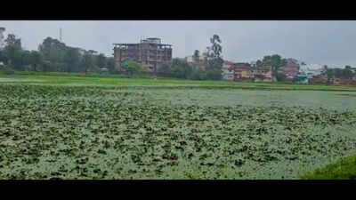 okni-pond-in-hazaribag.jpg