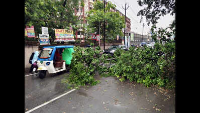 b7c35f67-3769-4aa8-8314-b4ed90dfa102_weather_2jpg.jpg