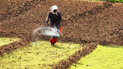 fertiliser-ap-farmjpg.jpg