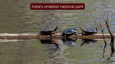 india39s-smallest-national-park.jpg