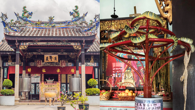 inside-malaysia39s-snake-temple-where-venomous-vipers-live-among-prayer-halls-and-people-worship-alongside-them.jpg