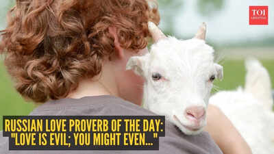 russian-proverb-on-love.jpg