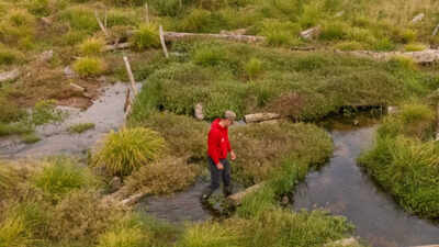 a-new-waterscape-has-been-created-on-the-holnicote-estate-in-somerset-national-trust-photos.jpg