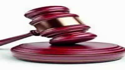 external-agency-cant-record-findings-against-lawyer-sc.jpg
