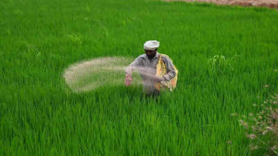 india-brings-in-over-32-lakh-tonnes-of-key-fertilisers-in-april-june.jpg