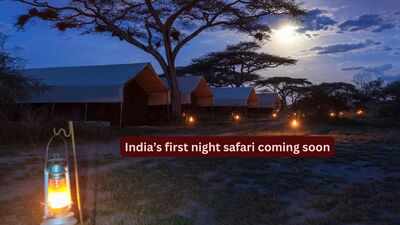 indias-first-night-safari-coming-soon.jpg