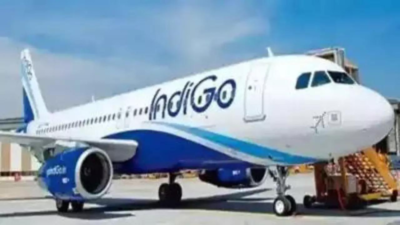 indigo.jpg
