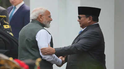 pm-modi-in-indonesia.jpg