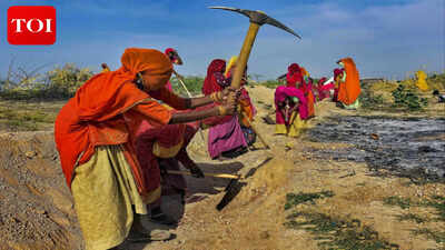 vb-g-ram-g__-india39s-new-rural-jobs-scheme-promises-more-work-but-shifts-burden-to-states.jpg