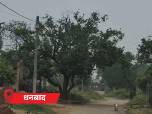 झारखंड से मानसून की विदाई के संकेत अक्टूबर तक राज्य में नहीं होगी बारिश डिग्री तक जाएगा रांची का अधिकतम पारा…
